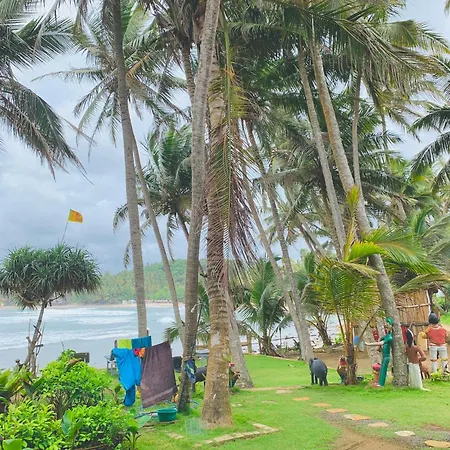 Surf Home Stay Hiriketiya Dikwella Exterior foto
