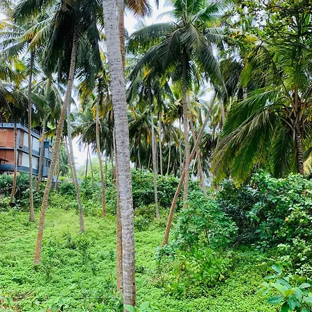 Surf Home Stay Hiriketiya Dikwella Exterior foto
