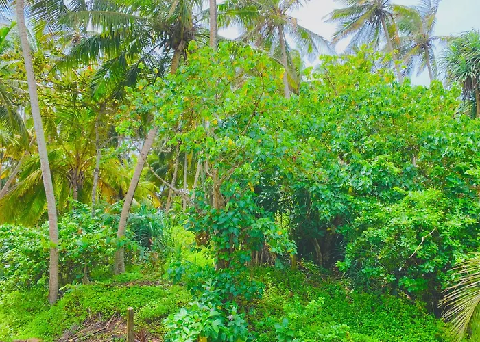 Surf Home Stay Hiriketiya